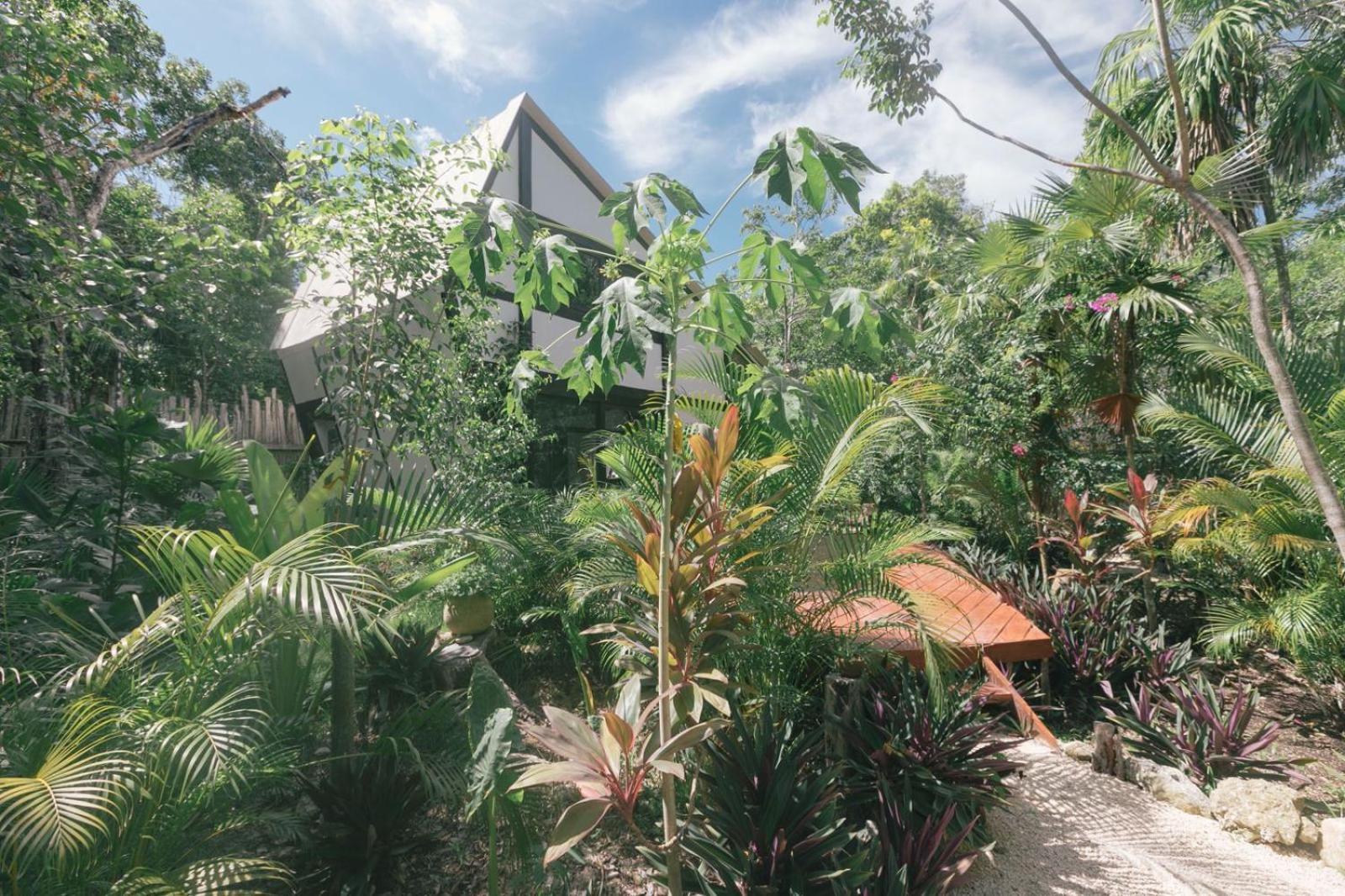 Nahouse Jungle Lodges Tulum Pueblo Buitenkant foto